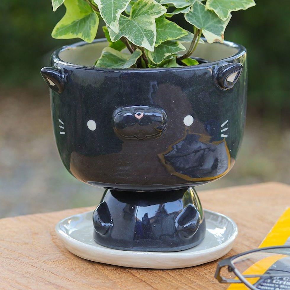 Cat-Shaped Black Ivory Ceramic Mini Flower Pot with Saucer 'Midnight Kitty'