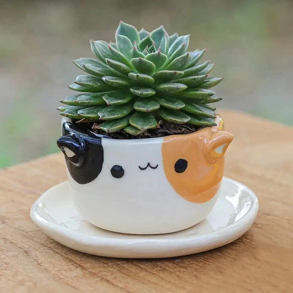 Handcrafted Cat-Themed Ceramic Mini Flower Pot with Saucer 'Kitty Enchantment'