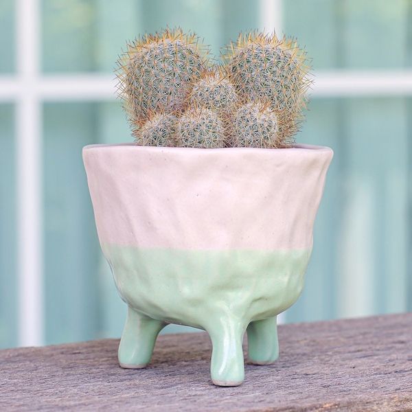Alternate image for Hand-Painted Ceramic Flower Pot in Pink and Green Tones Pink Roots