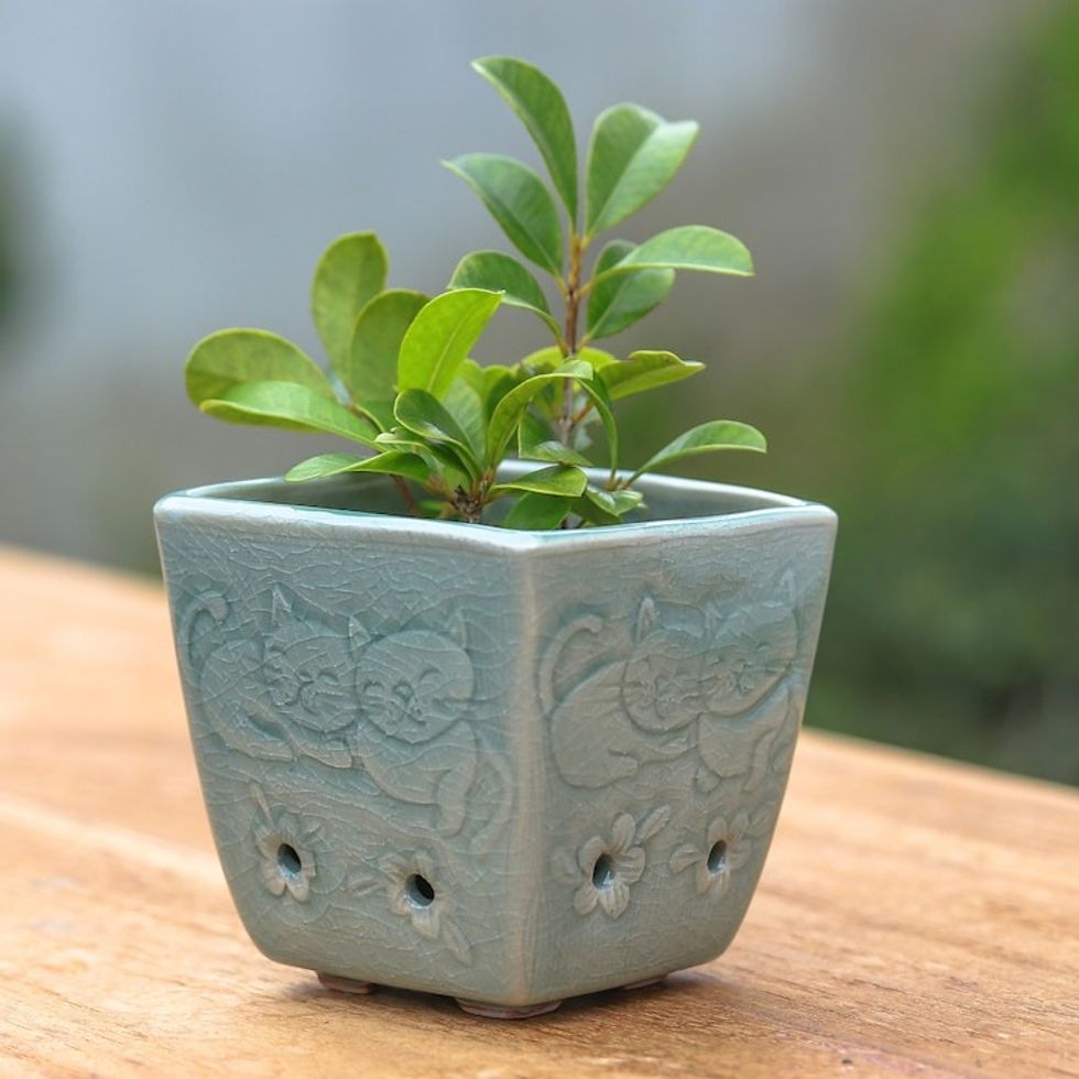 Cat and Floral-Themed Celadon Ceramic Mini Planter in Blue 'Blue Kitty Garden'