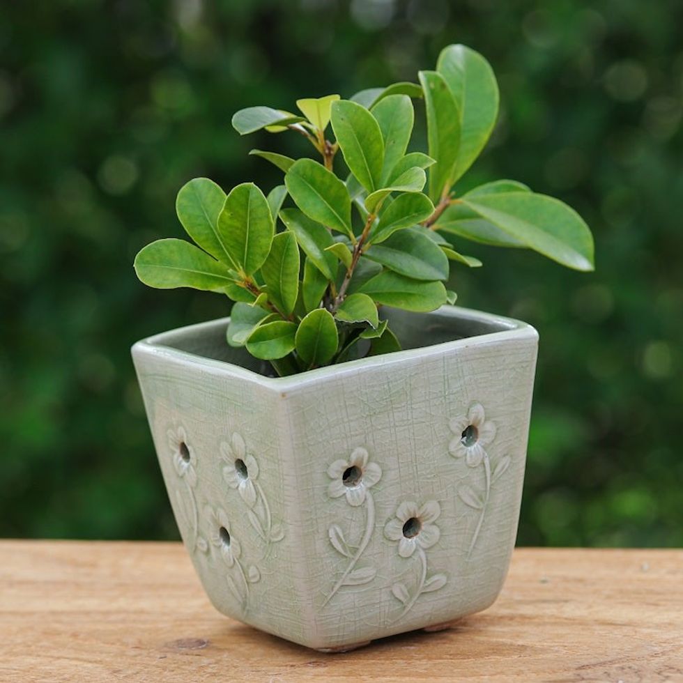 Celadon Ceramic Mini Planter with Floral Motif in Green 'Green Little Garden'