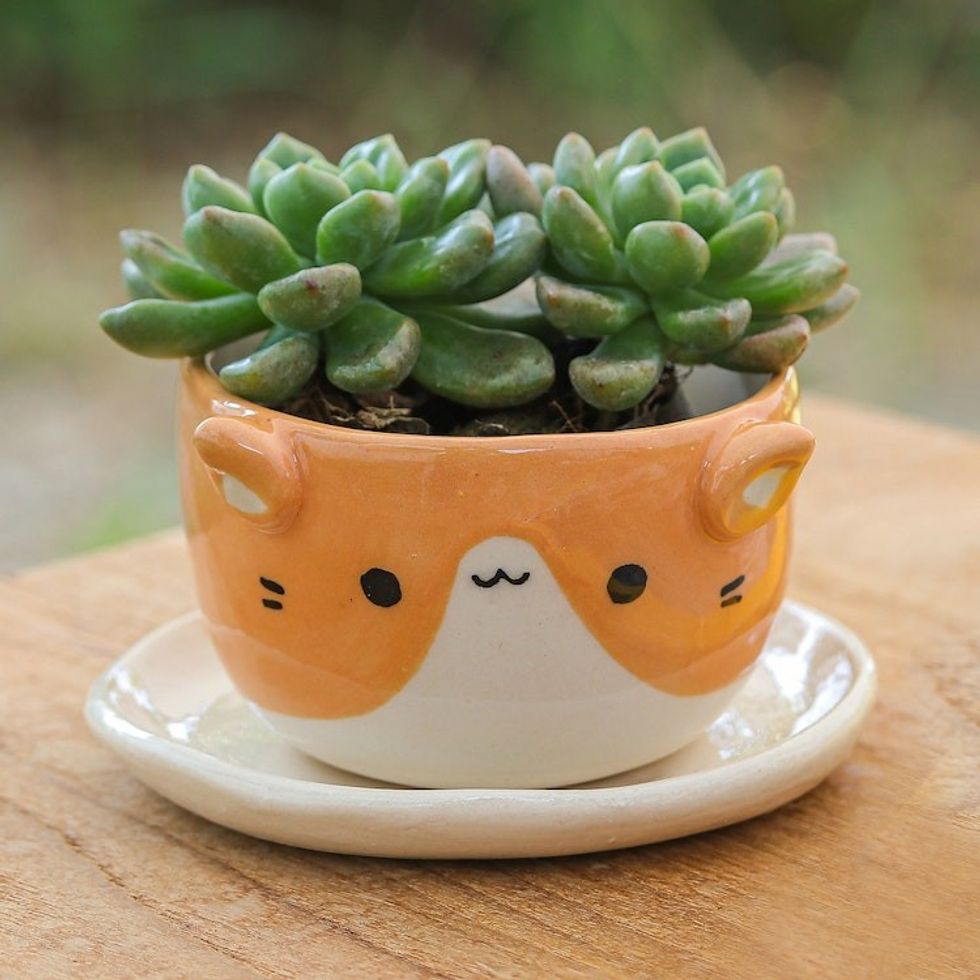 Ceramic Cat Mini Flower Pot with Saucer in Ivory and Orange 'Kitty Energy'