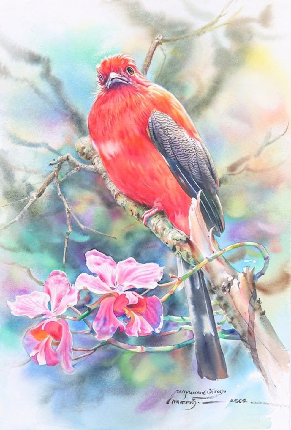 Realistic Watercolor Painting of Red-Headed Trogon Bird 'Red-Headed Trogon'