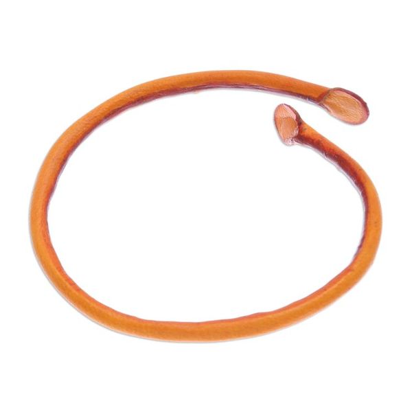 Alternate image for Thai Handmade Unisex Dyed Leather Cuff Bracelet in Orange Young Bud in Orange