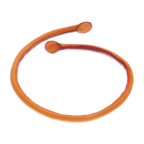 Alternate image for Thai Handmade Unisex Dyed Leather Cuff Bracelet in Orange Young Bud in Orange
