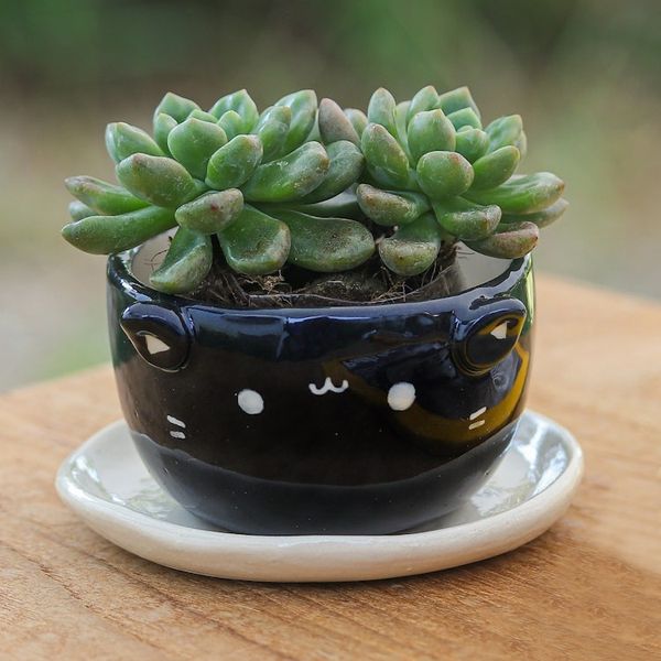 Alternate image for Cat-Themed Black Ceramic Mini Flower Pot with Ivory Saucer Kitty Splendor