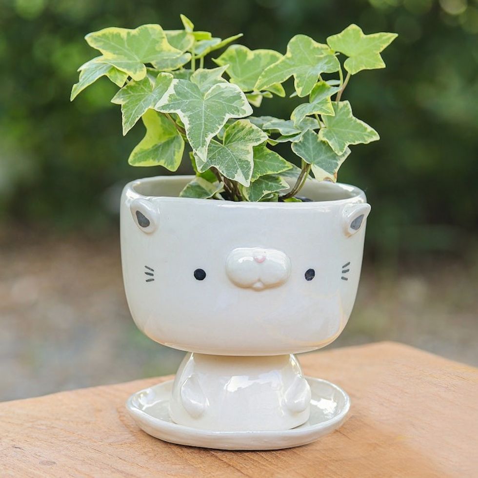 Cat-Shaped Ivory Ceramic Mini Flower Pot with Saucer 'Endearing Kitty'