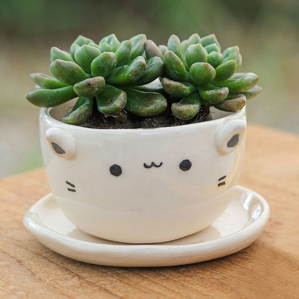 Handcrafted Ivory Ceramic Cat Mini Flower Pot with Saucer 'Kitty Grace'