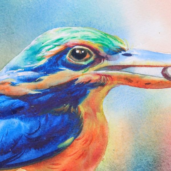 Alternate image for Watercolor Painting of Rufous-Collared Kingfisher Bird Rufous-Collared Kingfisher