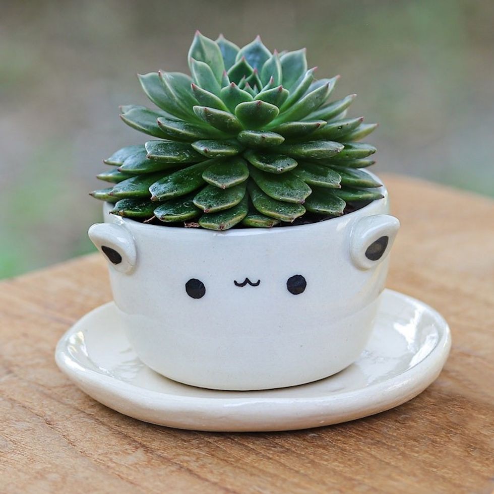 Cat-Themed Ceramic Mini Flower Pot with Saucer in Ivory 'Kitty Charm'