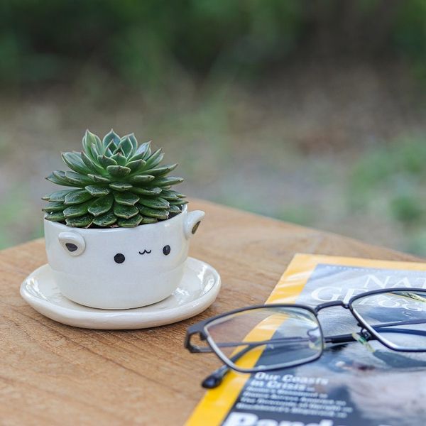 Alternate image for Cat-Themed Ceramic Mini Flower Pot with Saucer in Ivory Kitty Charm