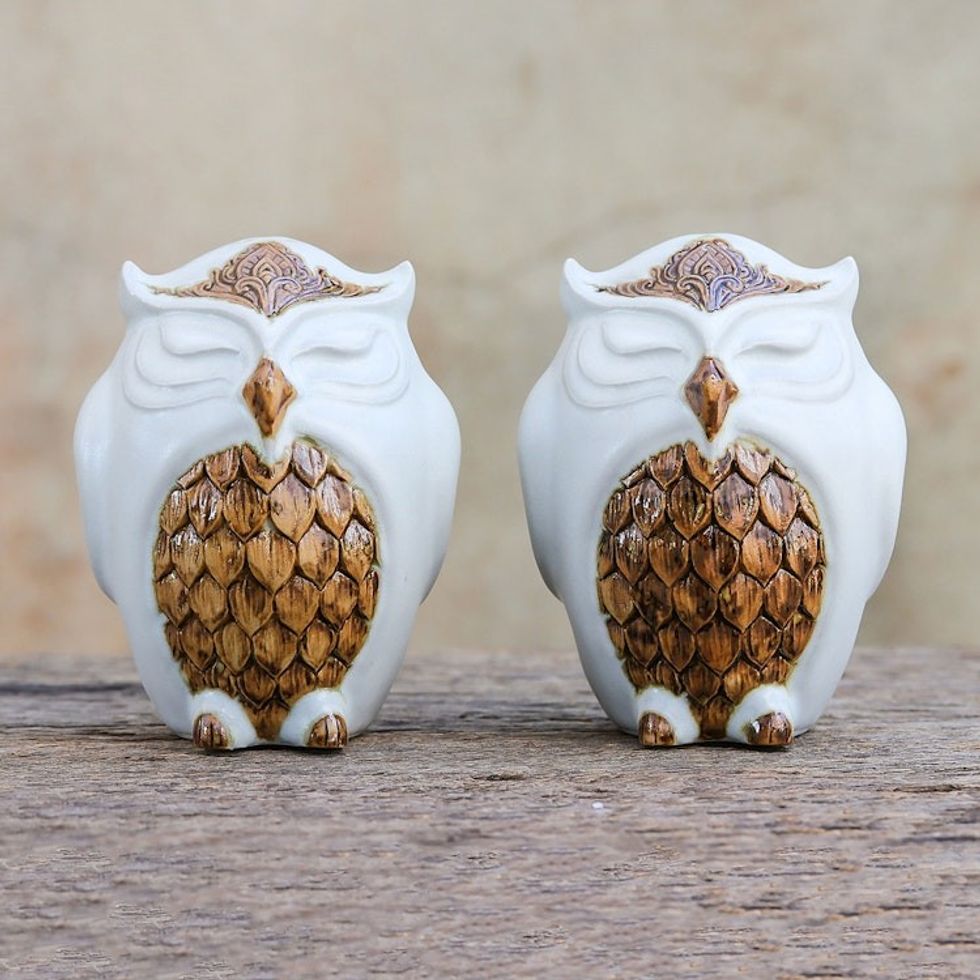 Ceramic Owl Salt and Pepper Shakers in White Pair 'Calm Owls in White'