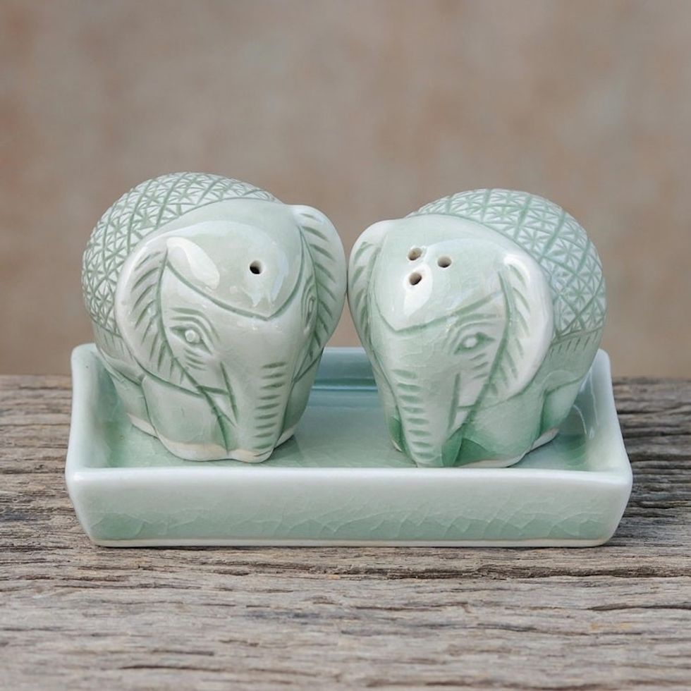 Elephant-Themed Celadon Ceramic Salt and Pepper Shaker Set 'Elephant Texture'