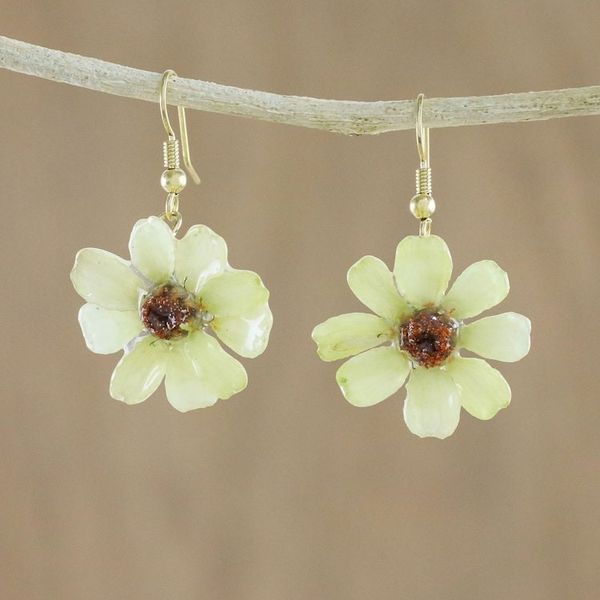 Alternate image for Resin Coated Natural Zinnia Dangle Earrings from Thailand Yellow Summertime Zinnia