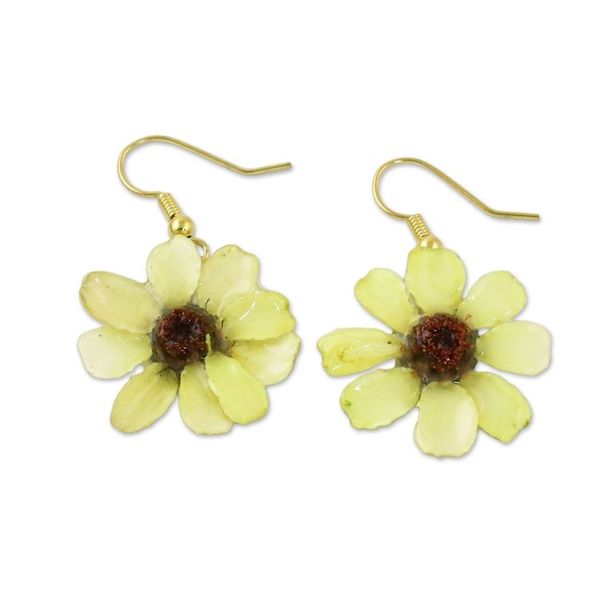 Alternate image for Resin Coated Natural Zinnia Dangle Earrings from Thailand Yellow Summertime Zinnia