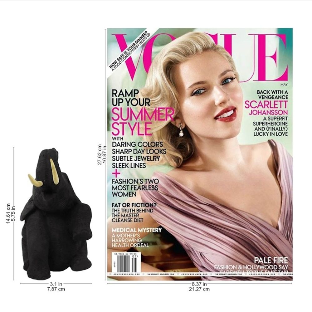 Alternate item image