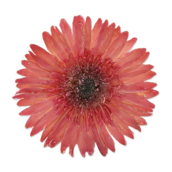 Alternate image for Handmade Natural Deep Pink Gerbera Brooch with Brass Pin Splendid Day