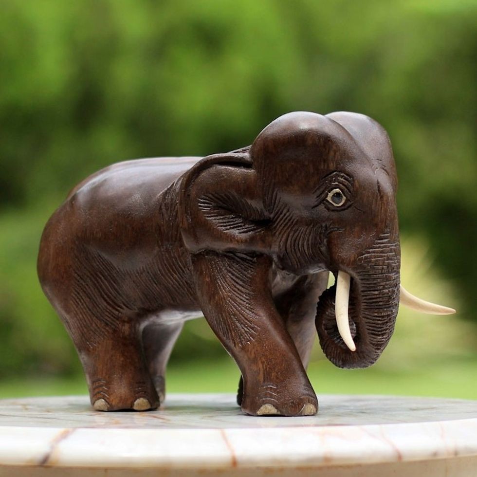 Hand Carved Wood Elephant Sculpture from Thailand 'Charming Little Elephant'