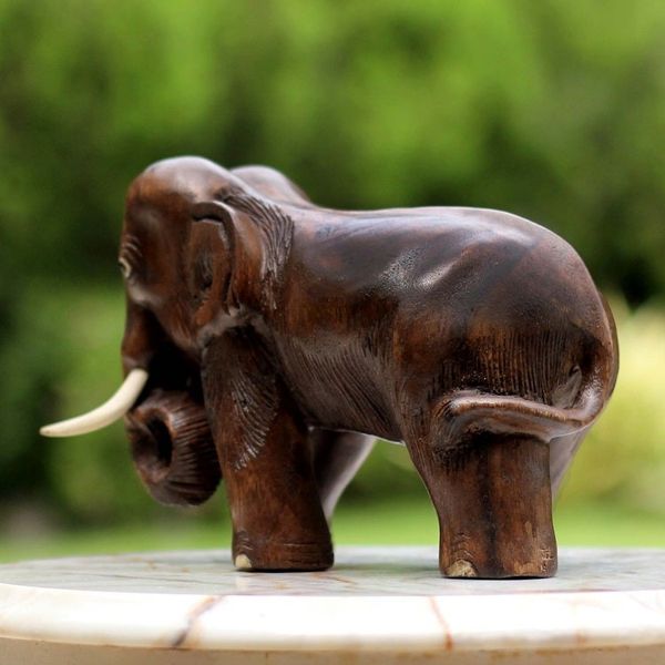 Alternate image for Hand Carved Wood Elephant Sculpture from Thailand Charming Little Elephant