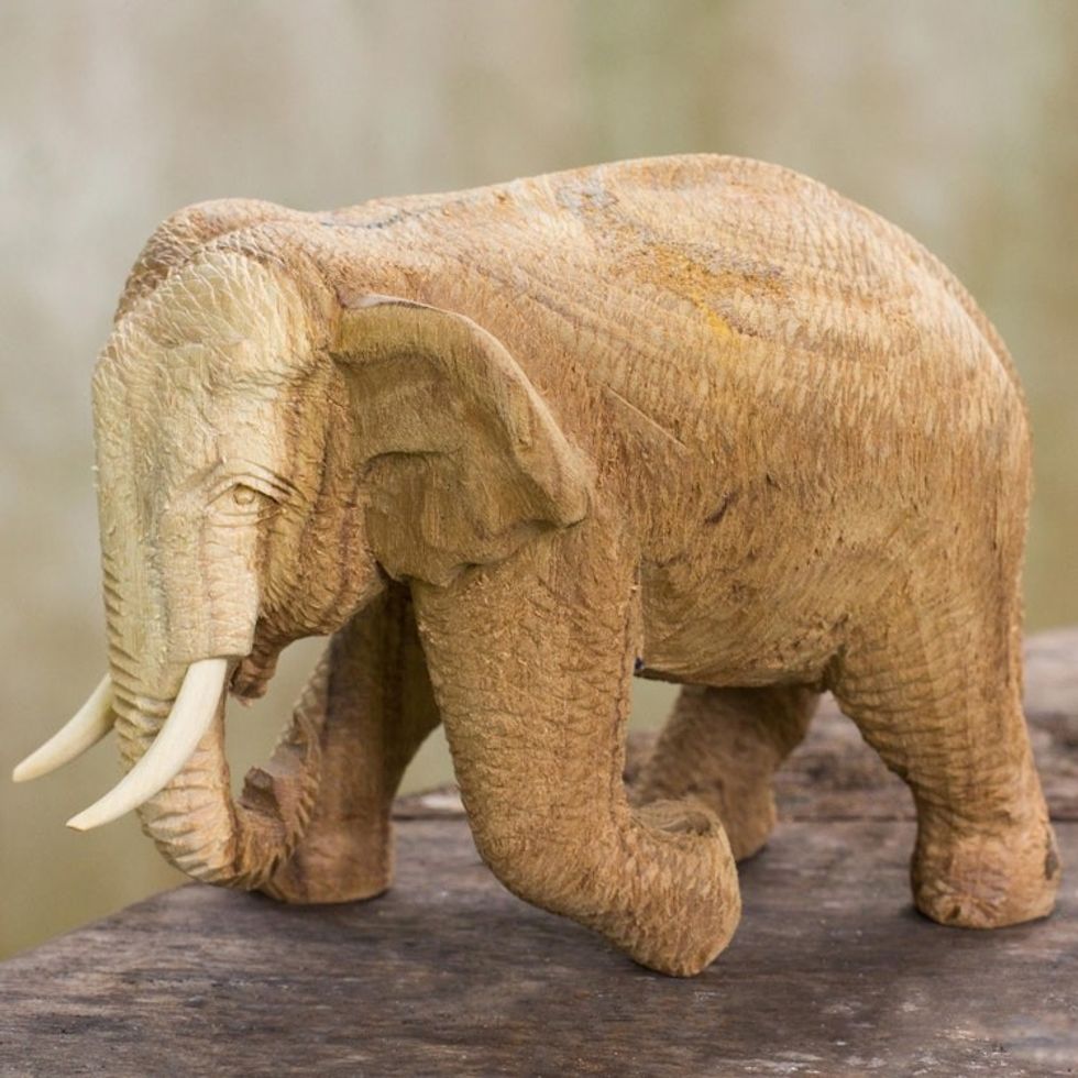 Handmade Rain Tree and Ivory Wood Elephant Statuette 'Blissful Elephant'