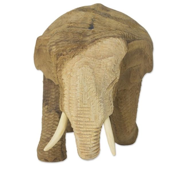Alternate image for Handmade Rain Tree and Ivory Wood Elephant Statuette Blissful Elephant
