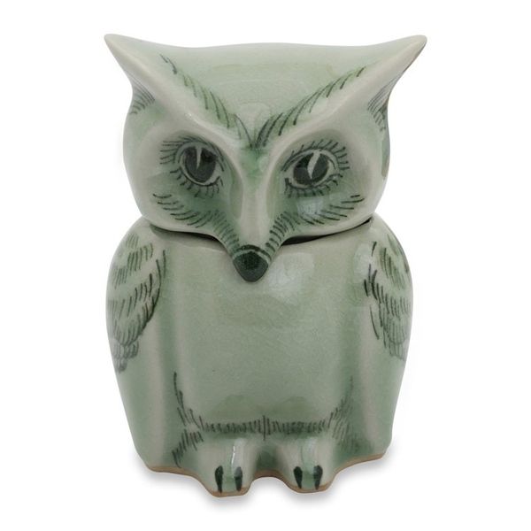 Alternate image for Fair Trade Green Celadon Ceramic Owl Jar with Lid Happy Green Owl