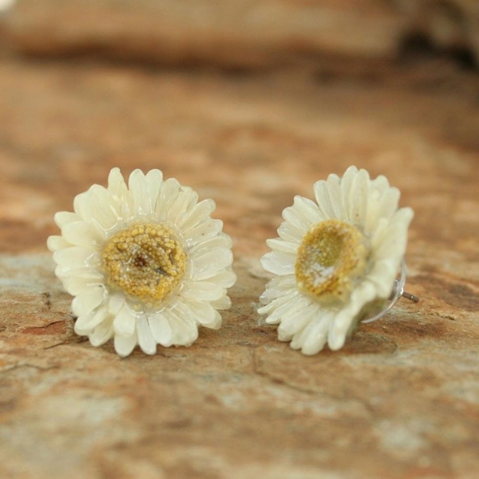 Natural Flower Button Earrings 'White Aster'