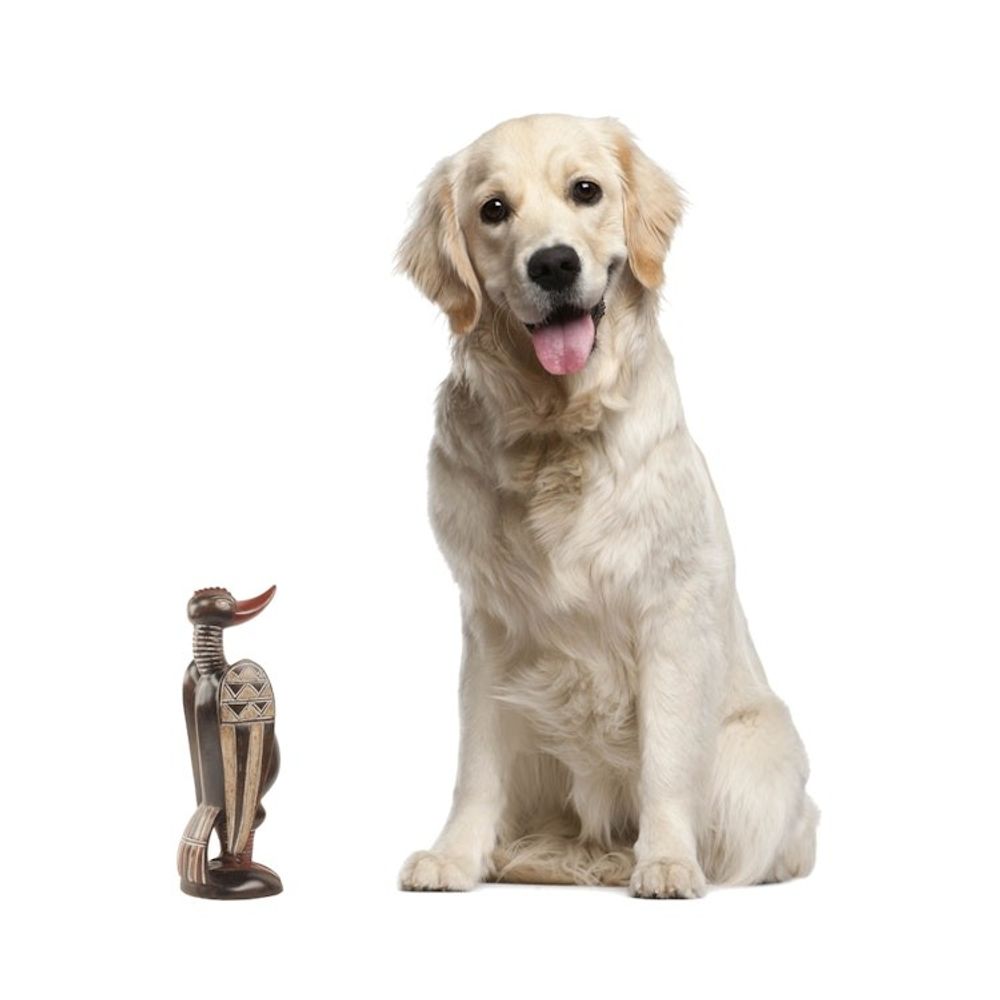 Alternate item image