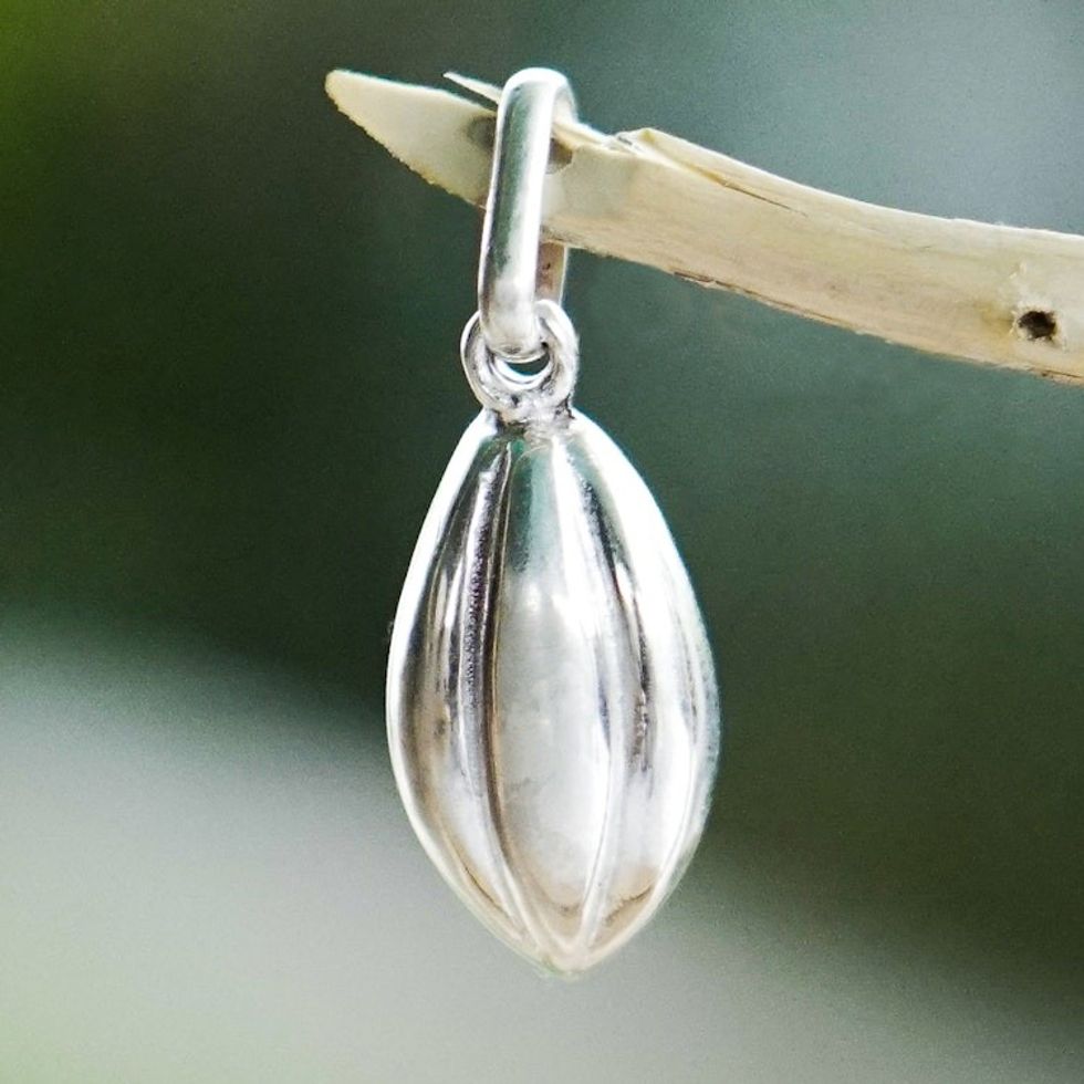 Handcrafted Polished Sterling Silver Pendant 'Cocoa Bean'