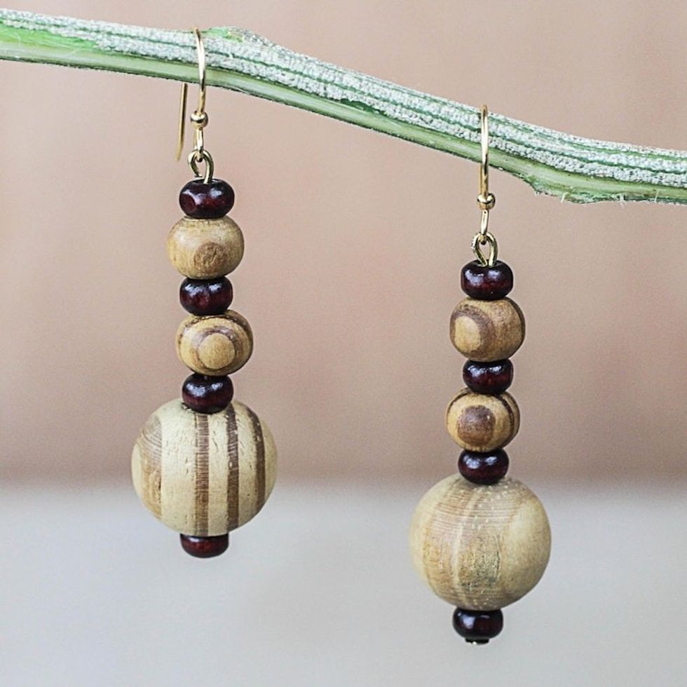 Wood and Recycled Plastic Dangle Earrings from Ghana 'Beautiful Grain'