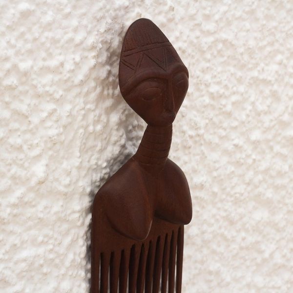 Alternate image for Handmade Mahogany Wood Wall Art from Ghana Dodzi
