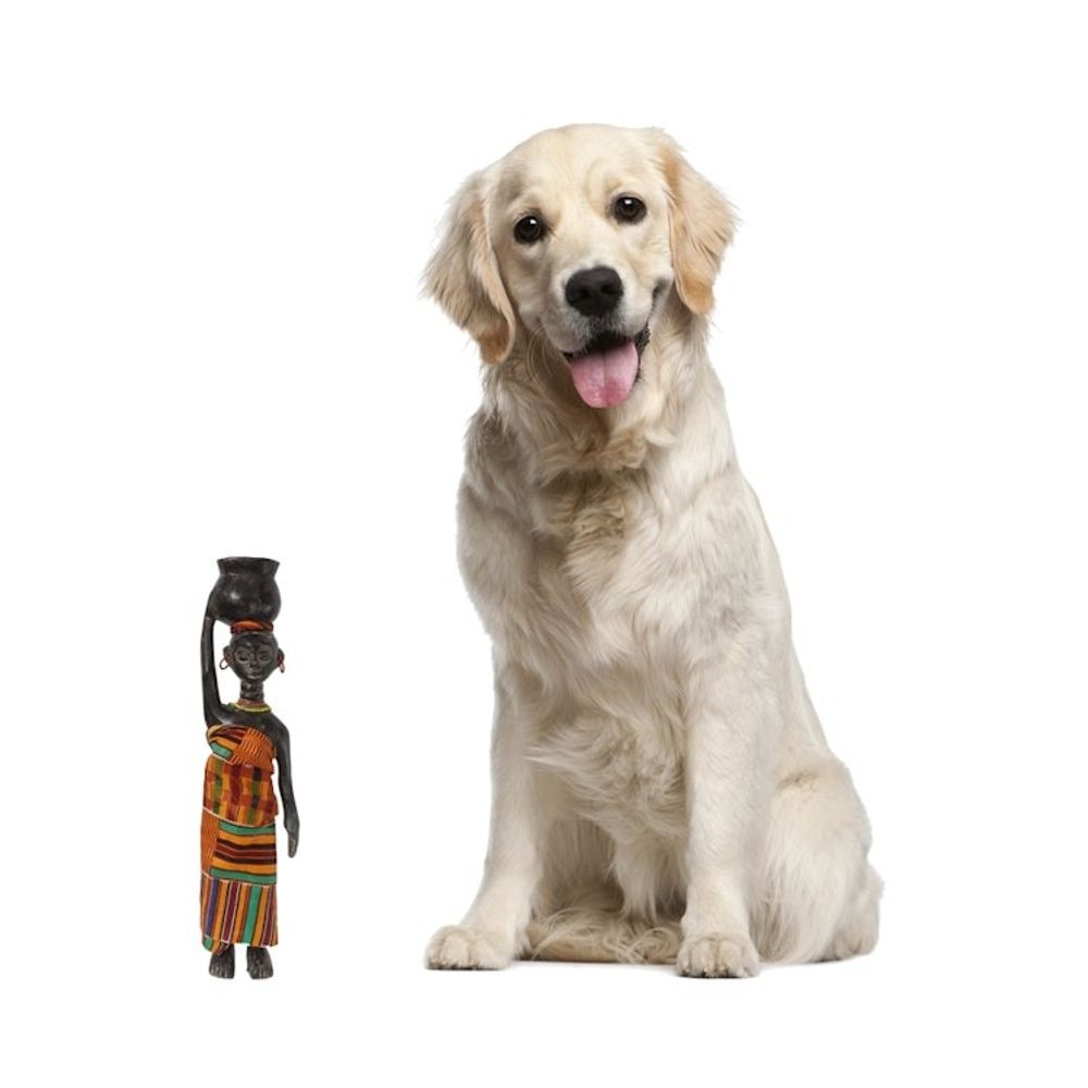 Alternate item image