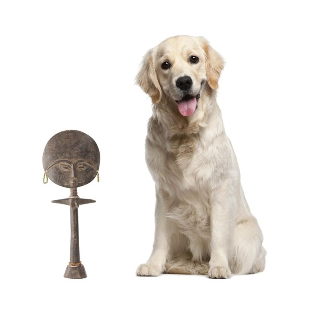 Alternate item image