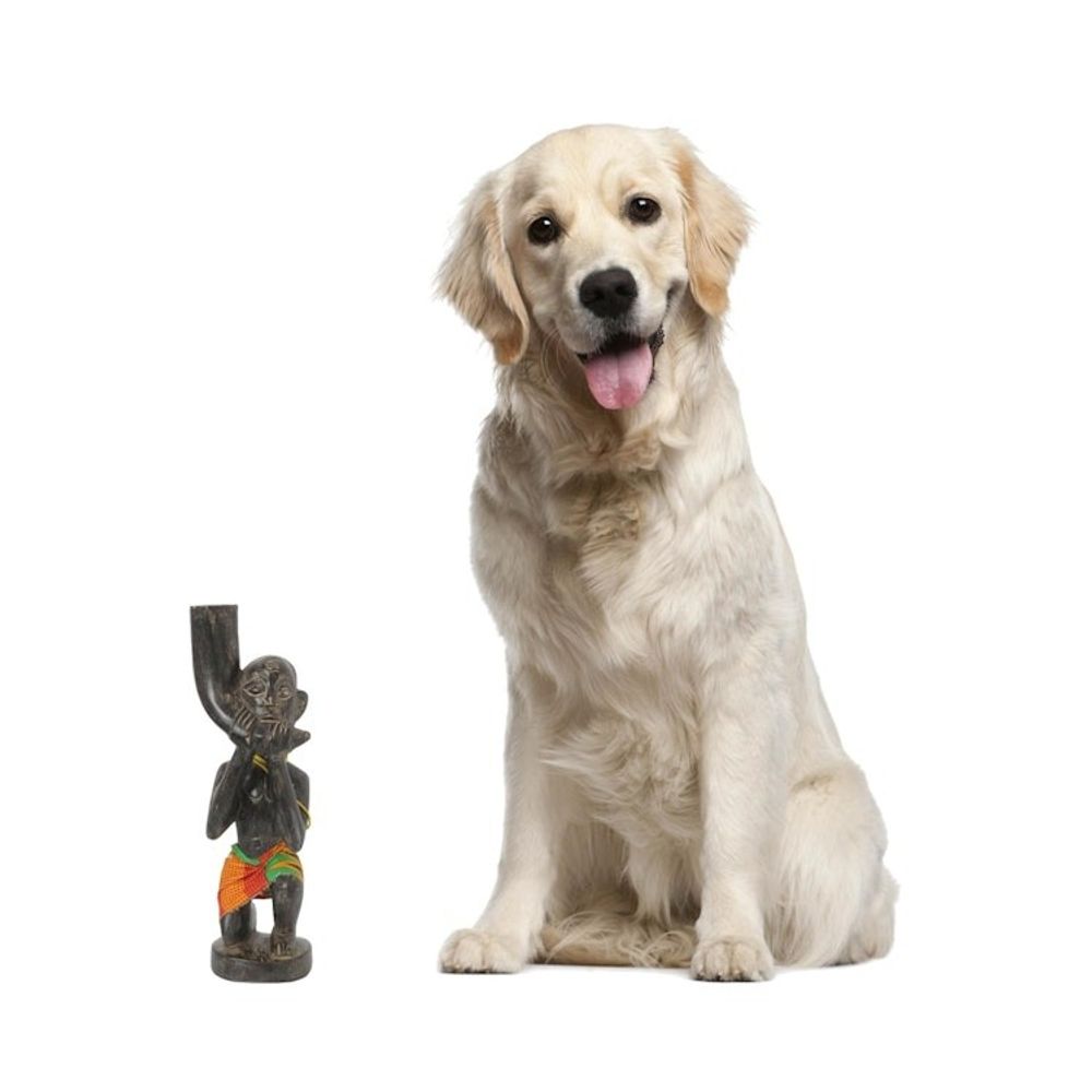 Alternate item image