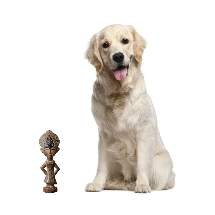 Alternate item image