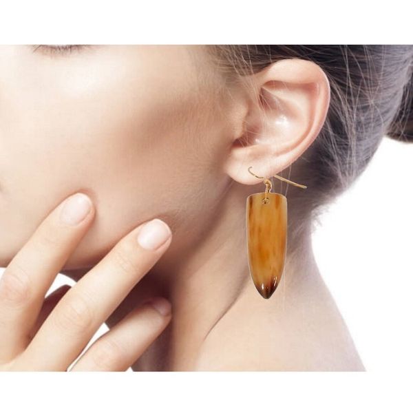 Alternate image for Modern Horn Dangle Earrings Brown Enyefewu