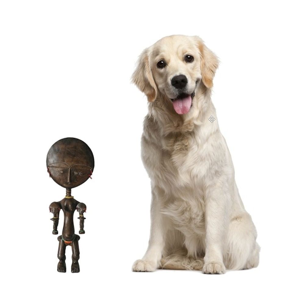 Alternate item image