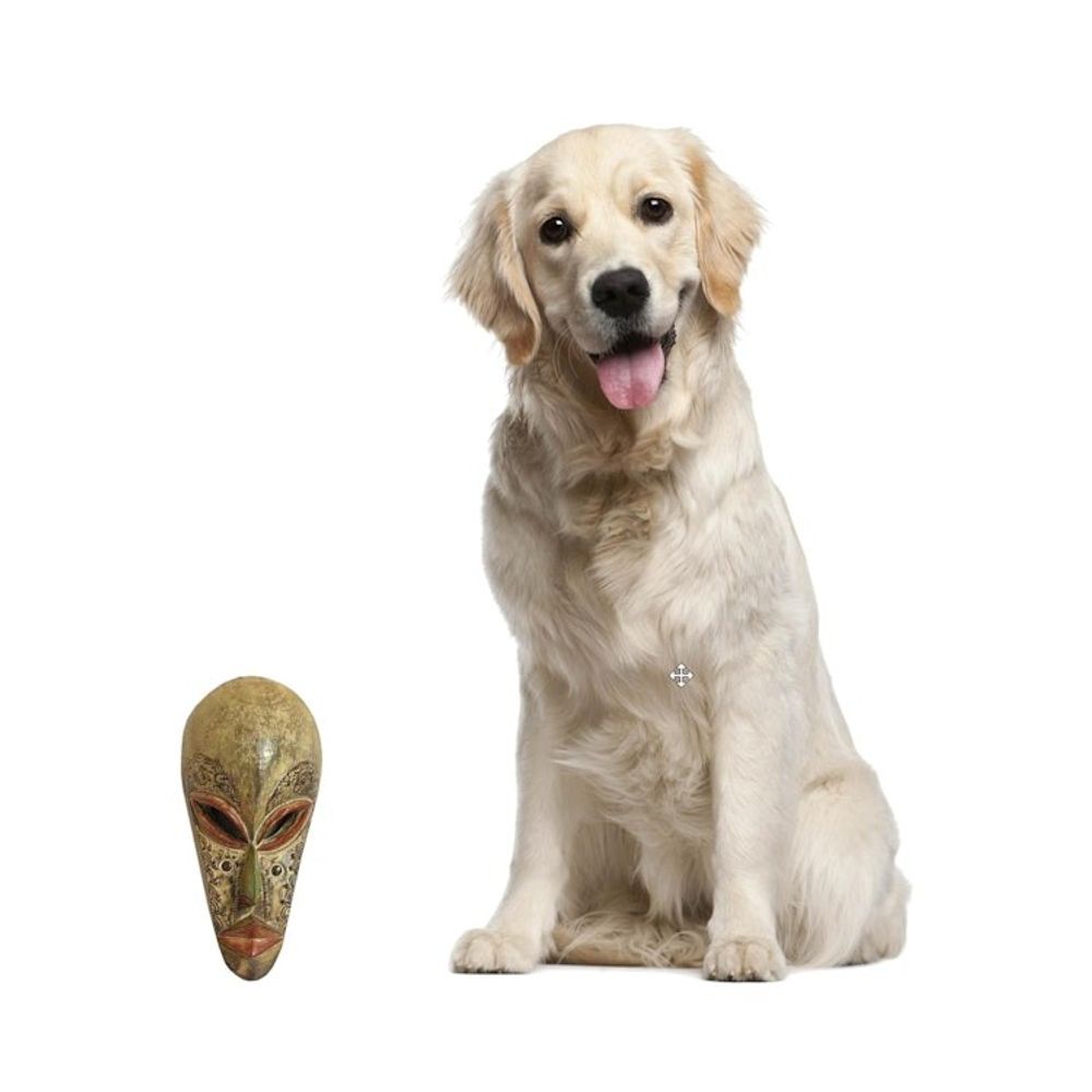 Alternate item image