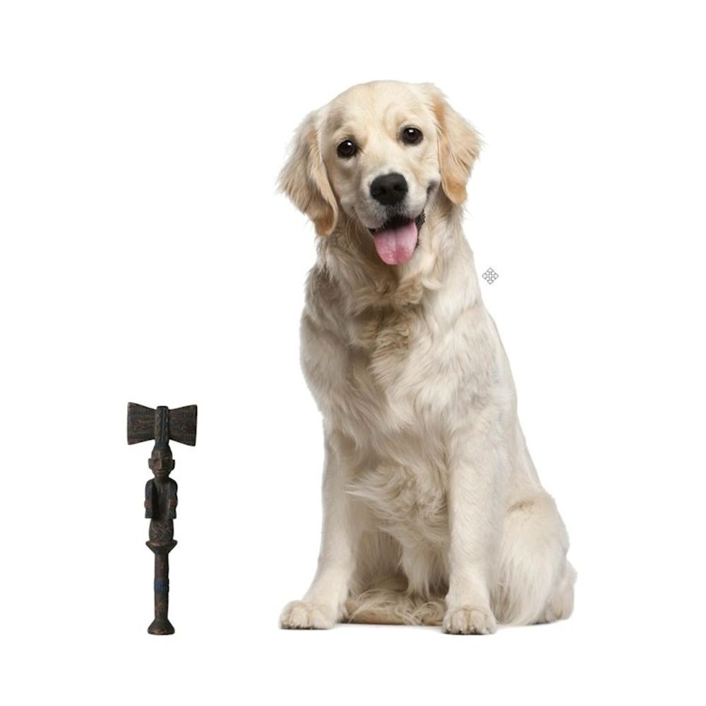 Alternate item image