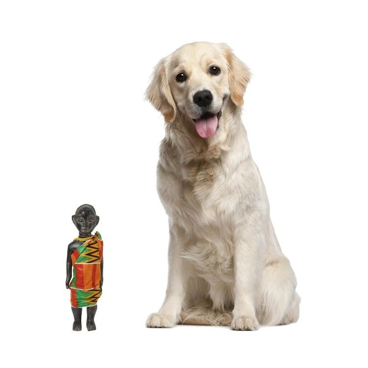 Alternate item image