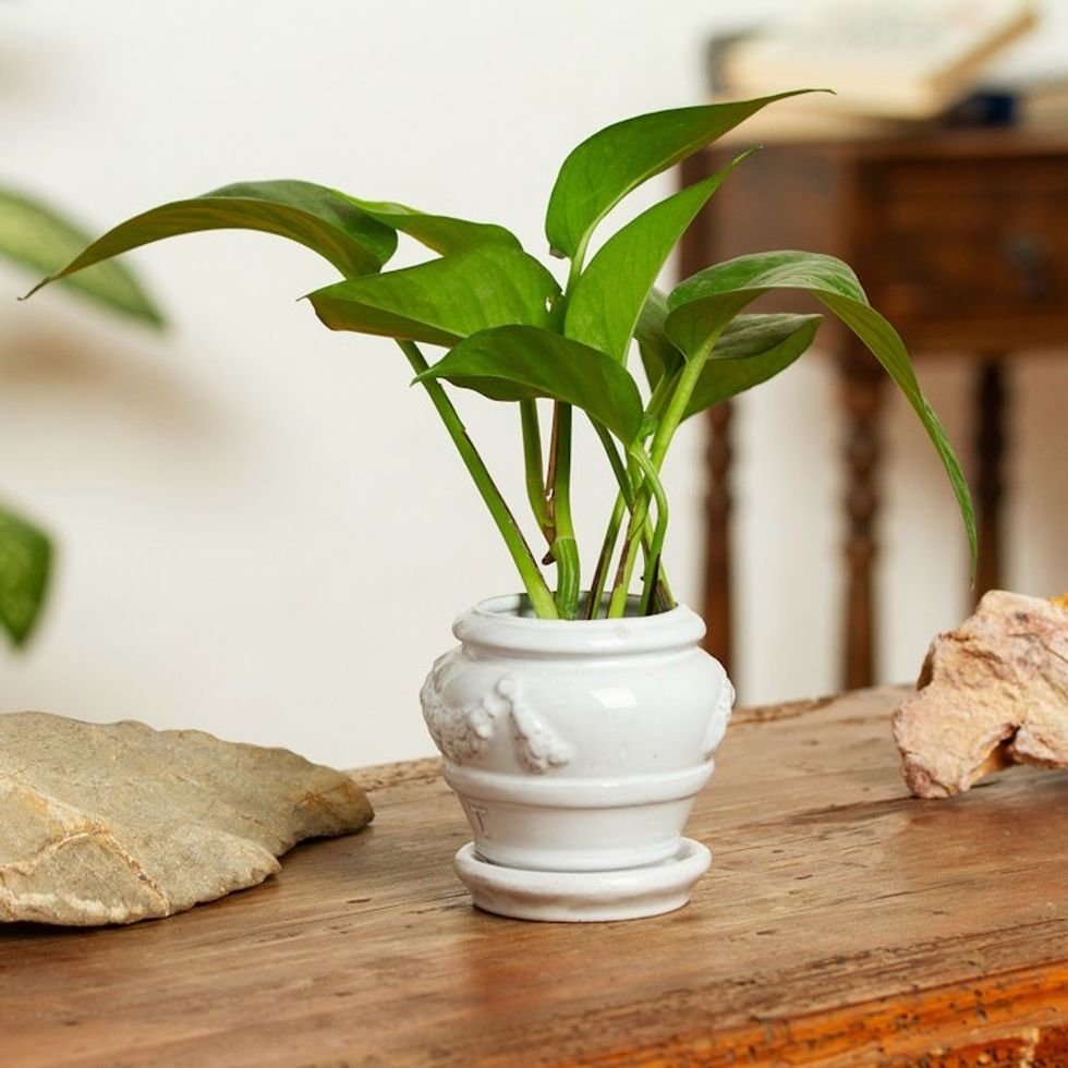 Handmade Rustic Ceramic Flower Pot in White from Mexico 'Vintage White'
