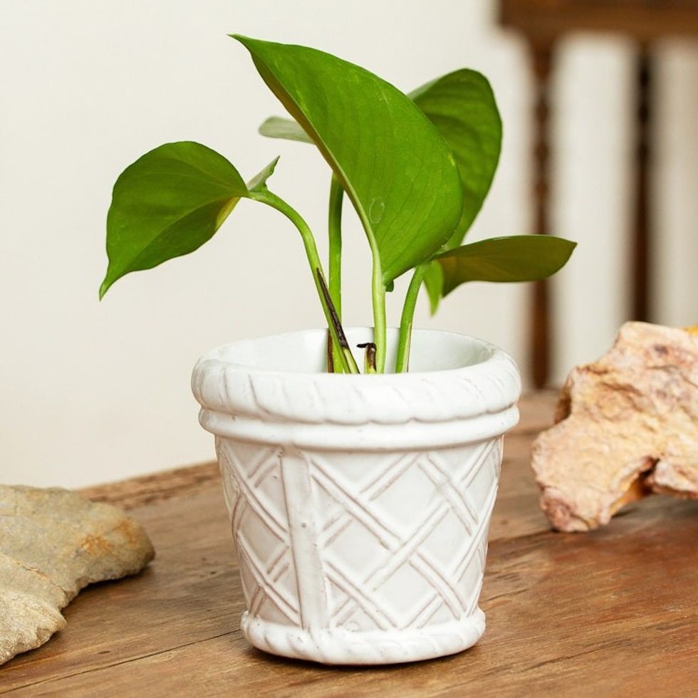 Handmade Rustic Ceramic Flower Pot in White from Mexico 'Vintage Diamonds'