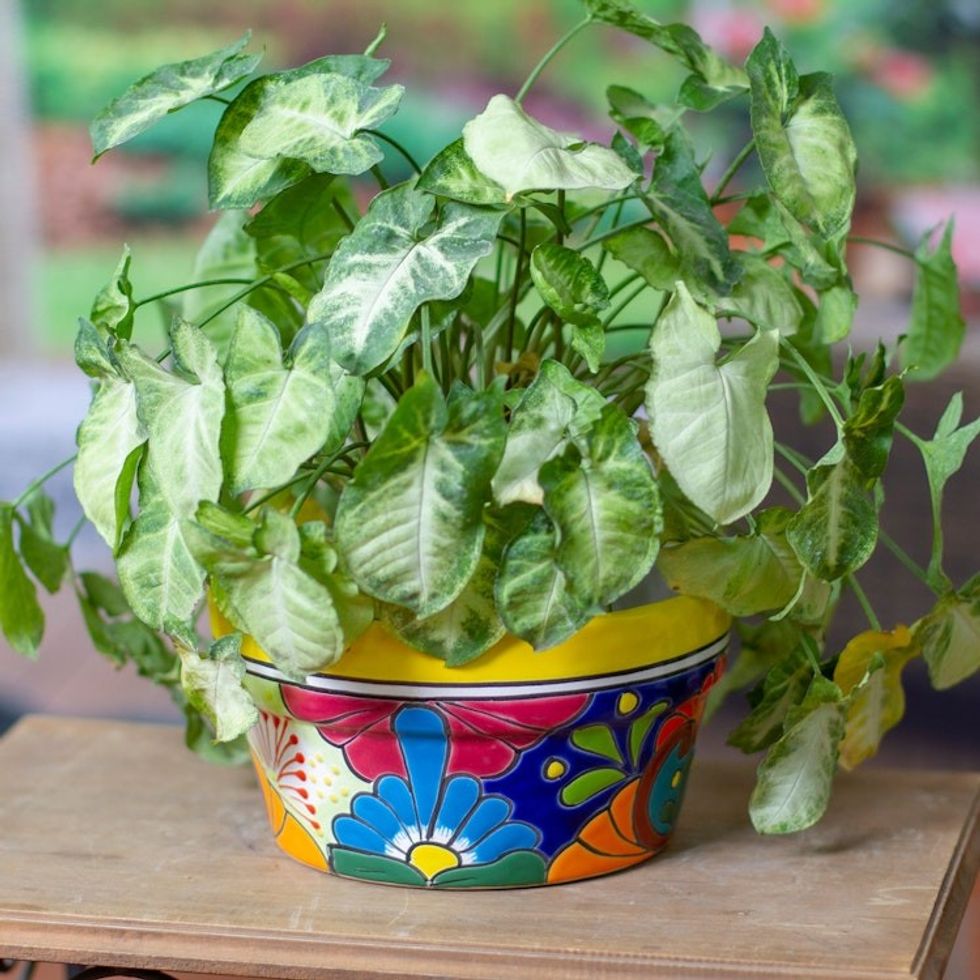 Handcrafted Talavera Ceramic Flower Pot Painted in Jonquil 'Jonquil Days at the Hacienda'