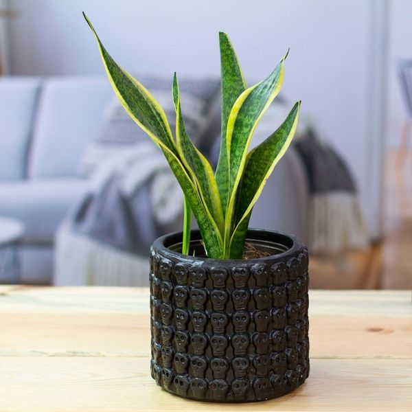 Alternate image for Handcrafted Skull-Patterned Round Black Ceramic Flower Pot Portal to the Dark Afterlife