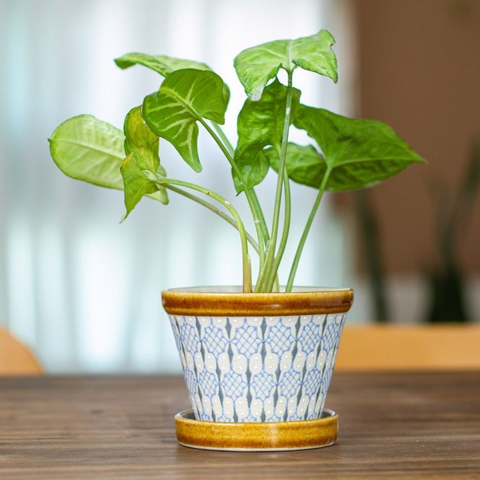 Handcrafted Small Ceramic Planter 4 Inch 'Blue Web'