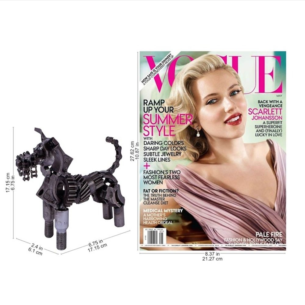 Alternate item image