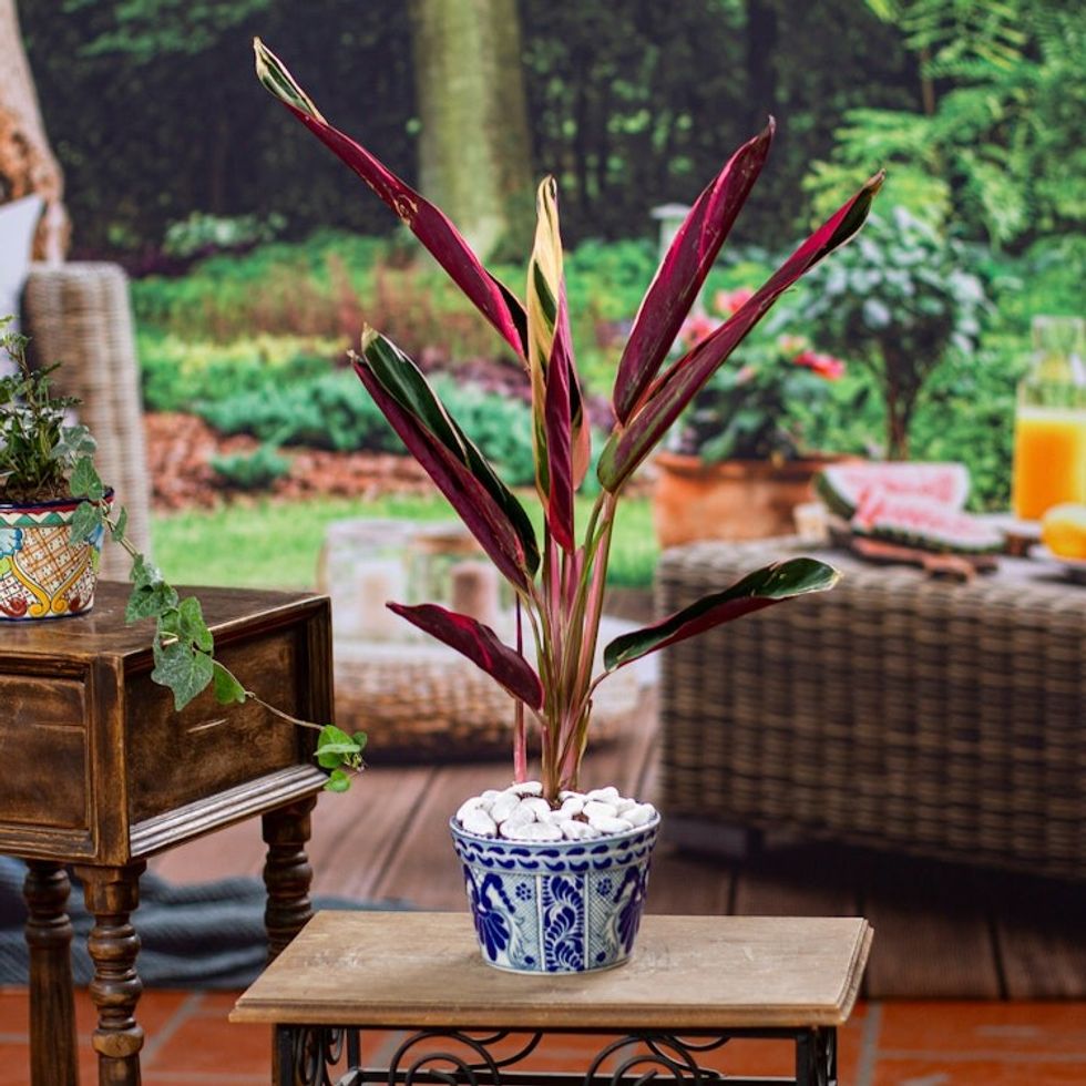 Artisan Crafted Ceramic Flower Pot 'Puebla Arabesque'
