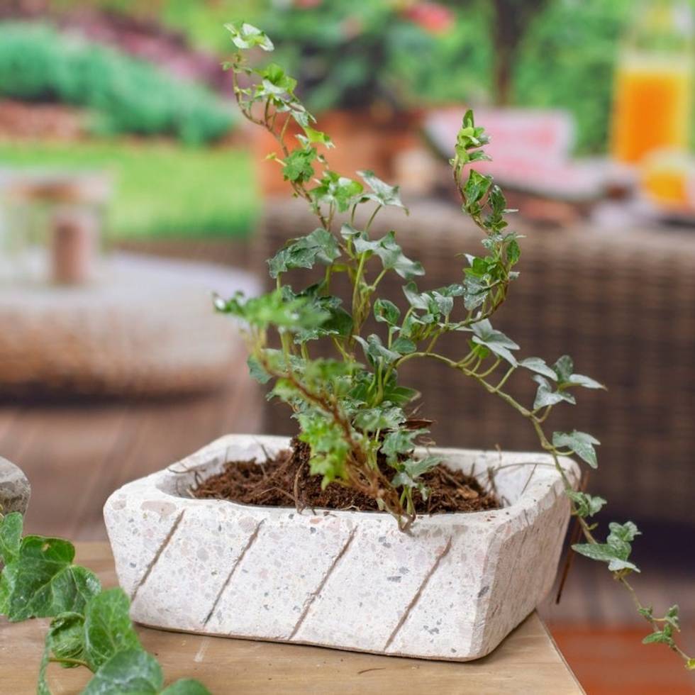 Rectangular Reclaimed Stone Flower Pot from Mexico 'Striped Rectangle'