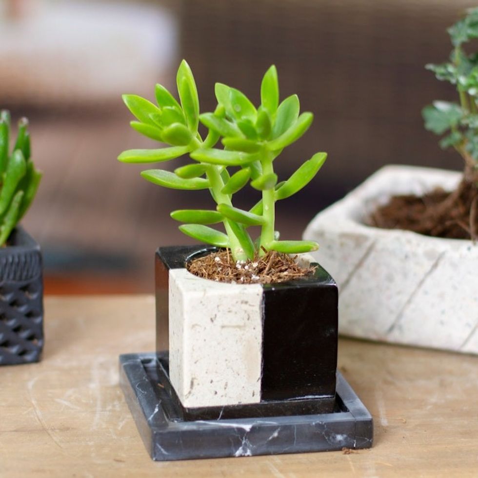 Square Travertine and Black Marble Planter with Saucer 'Attractive Opposites'