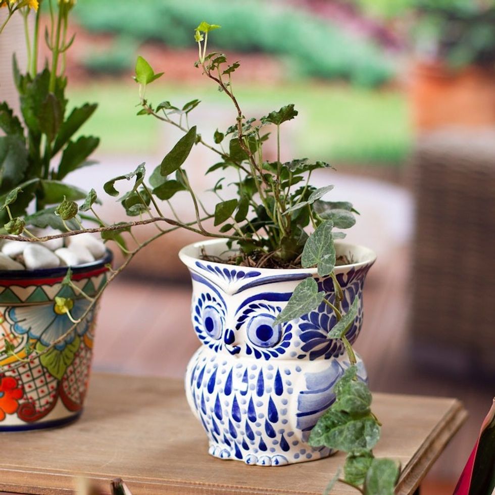 Blue and White Ceramic Owl Flower Pot from Mexico 'Blue Wind'